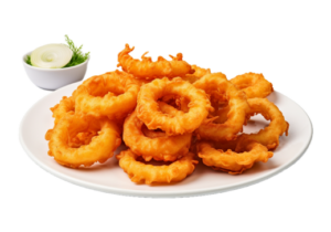 ONION RINGS (6)